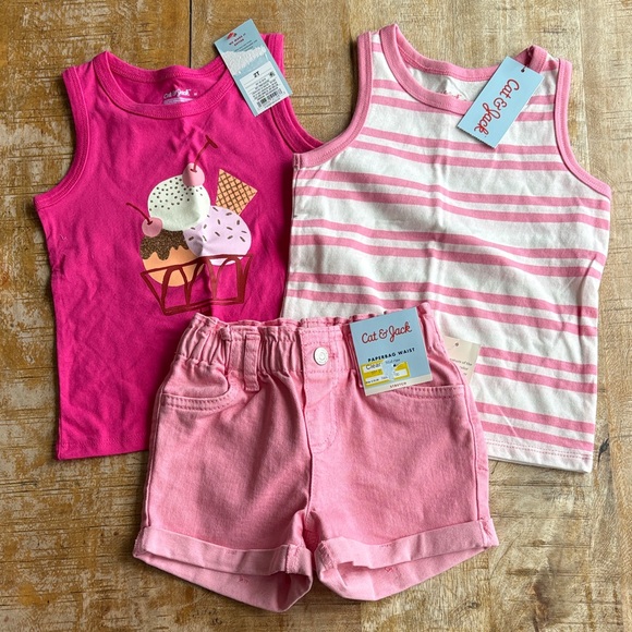 Cat & Jack Other - NWT Cat & Jack Girls Outfit Set 2t